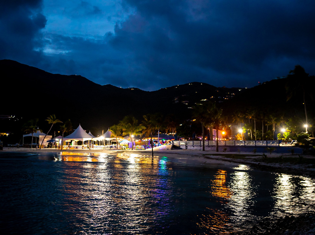 The beach bar at nanny cay景点图片