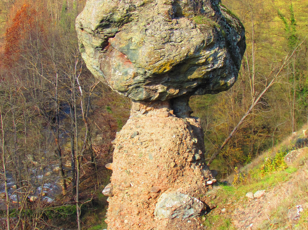 Il Fungo di Pietra di Piana Crixia-Piana Crixia必去景点