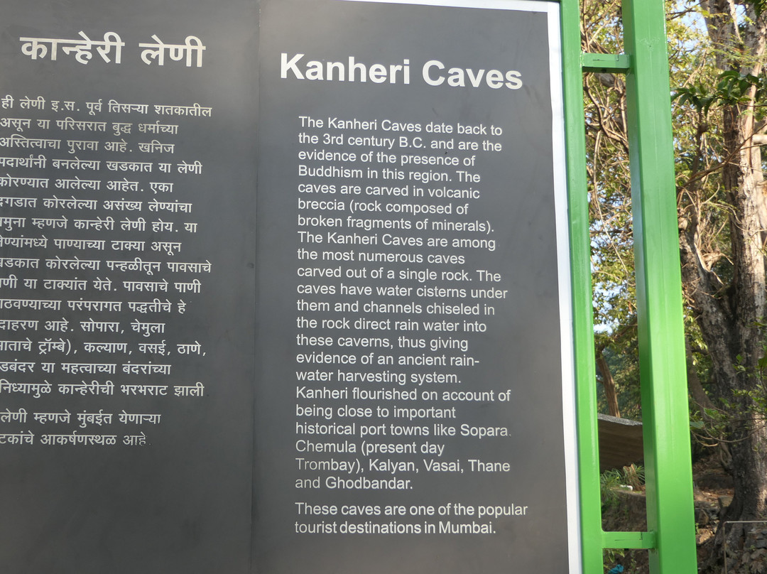 Kanheri Caves景点图片