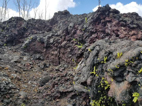 LERZ4 Tours, LLC-帕霍亚必去景点