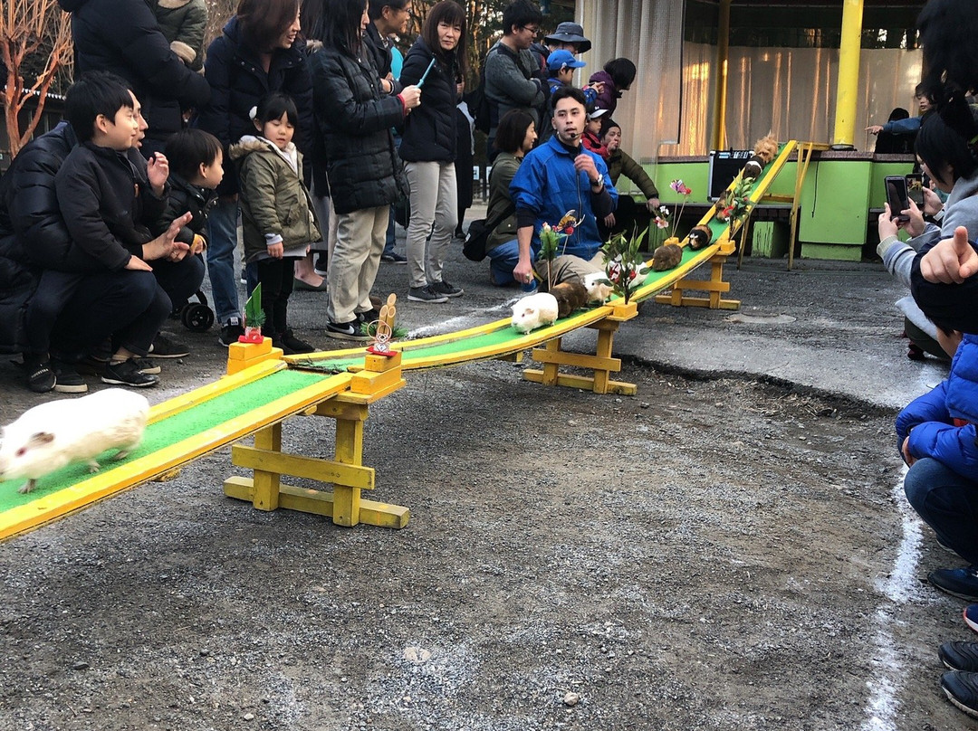 Chikozan Park Zoo-狭山市必去景点