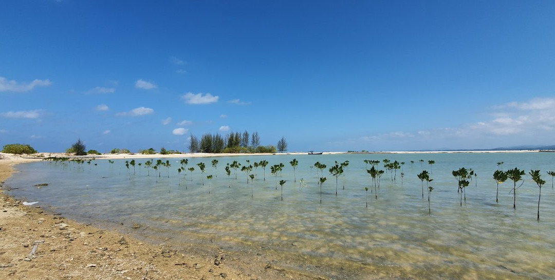 Pakarang Cape (Lem Hua Krung Yai)景点图片