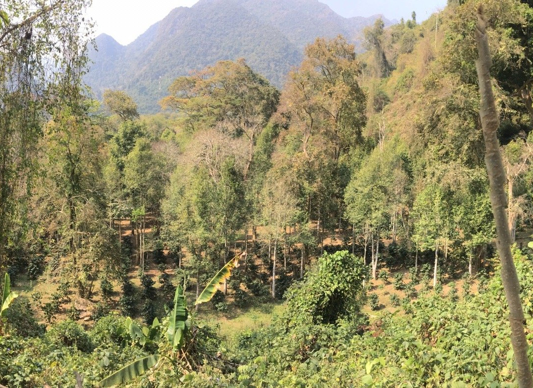 Pha Noi Viewpoint-Muang Ngoi Neua必去景点