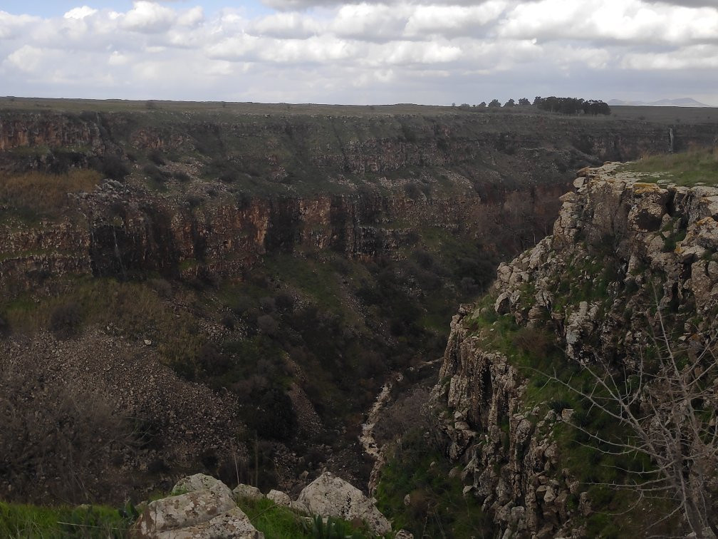 Gamla Nature Reserve-Katzrin必去景点