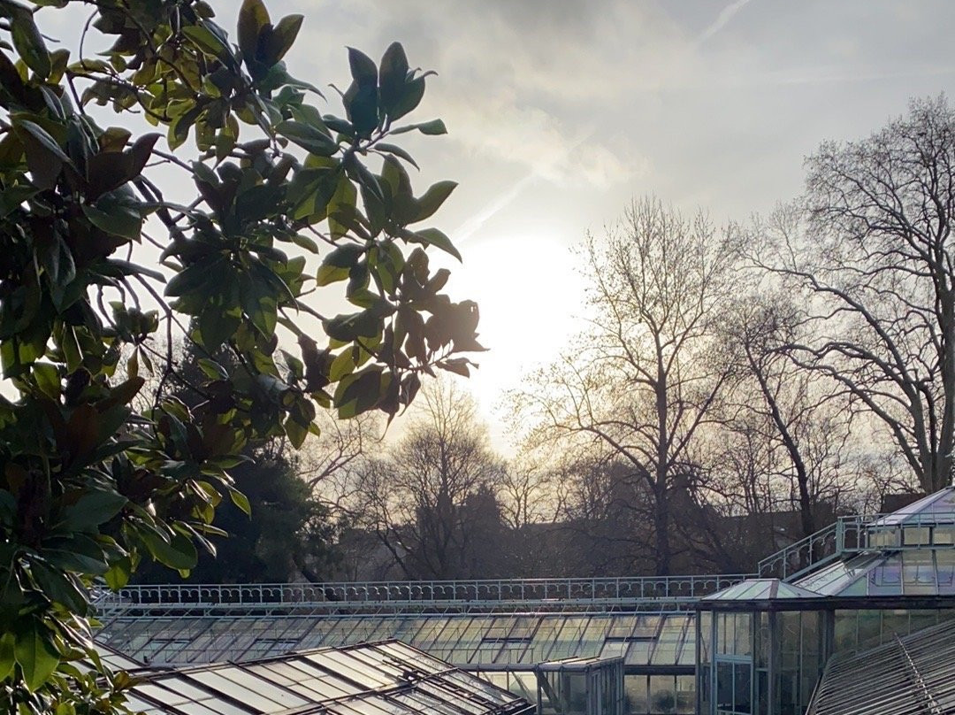 Serres du Jardin botanique de Liège景点图片