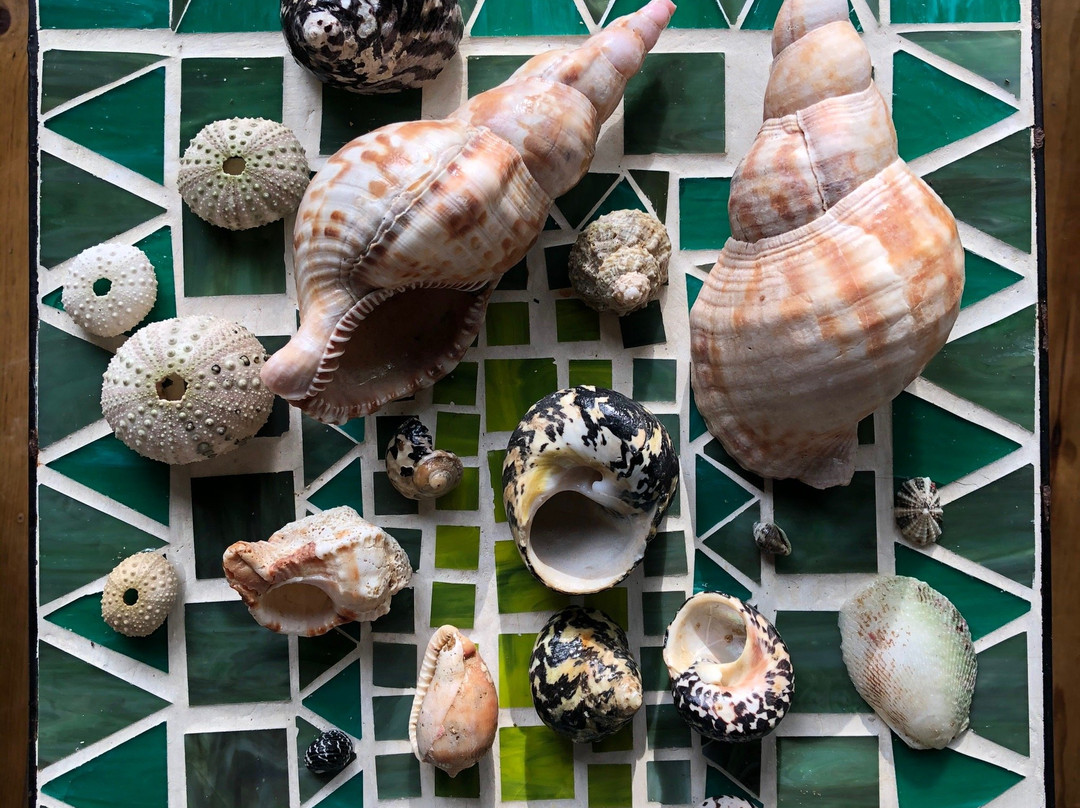 Surf Break at Paunch主图