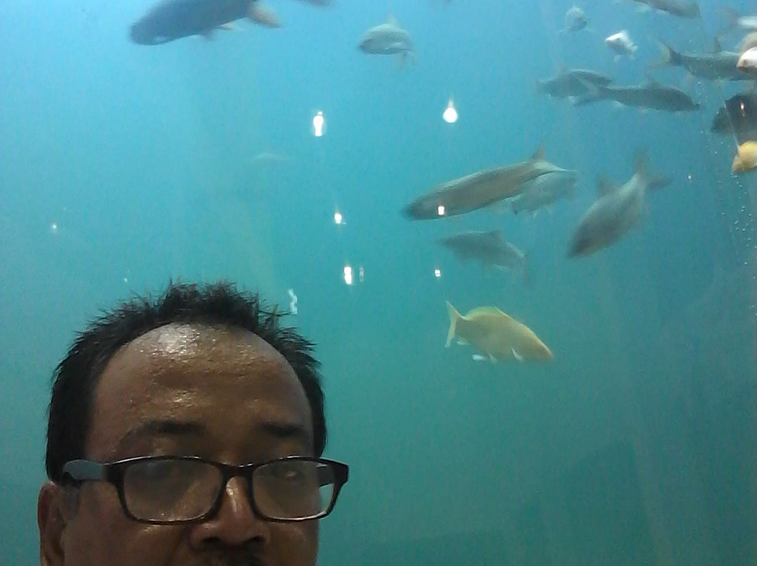 East Pangandaran Beach-庞岸达兰必去景点