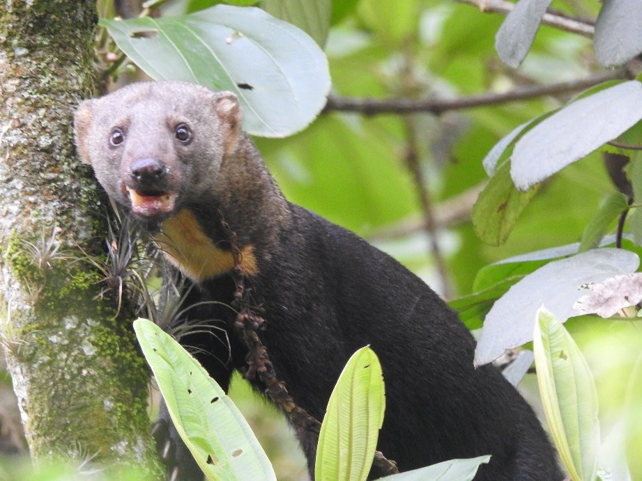 Finca Demostrativa Don Miguel-Villamaria必去景点