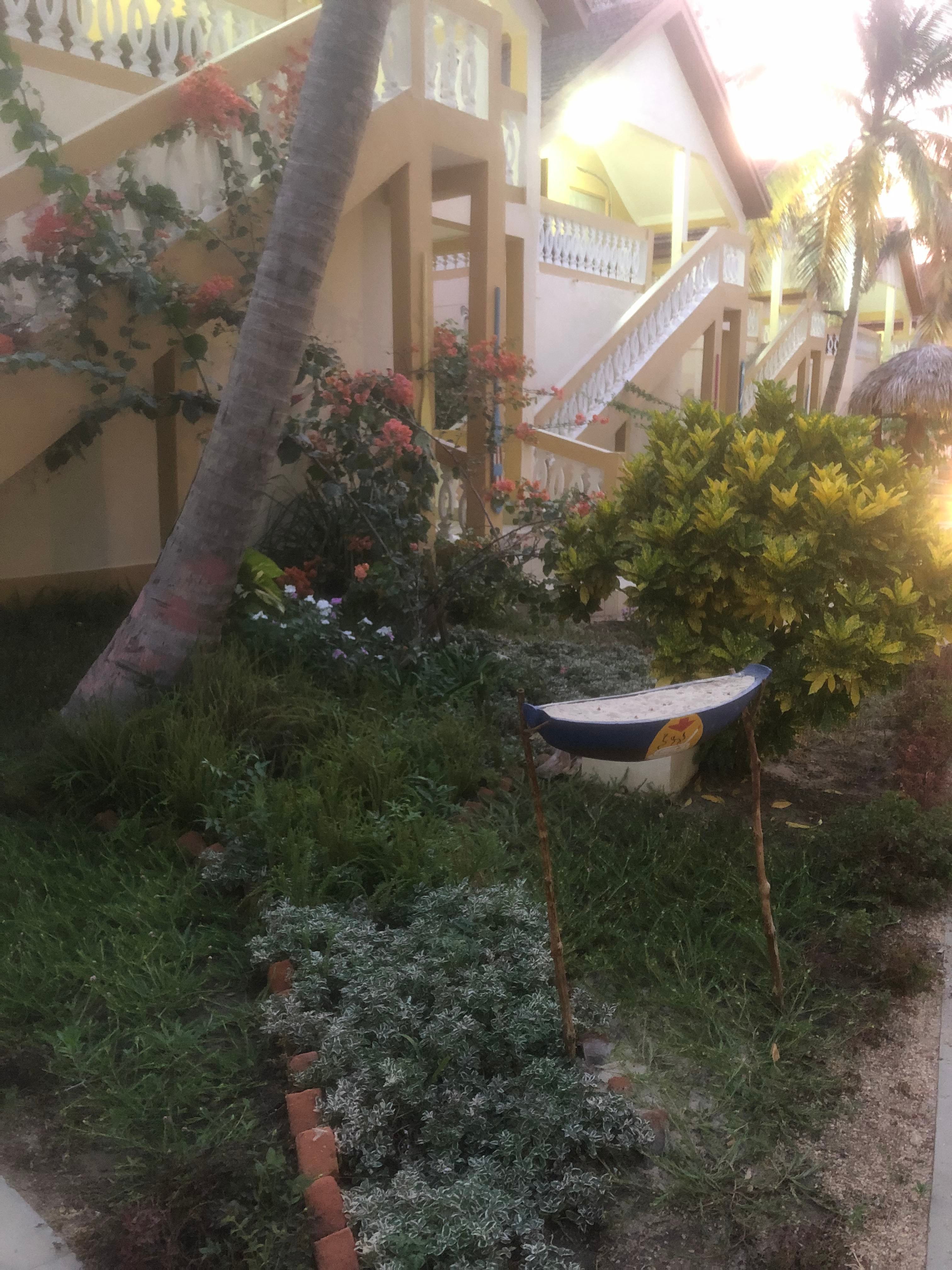 Laguna Beach-酒店景观