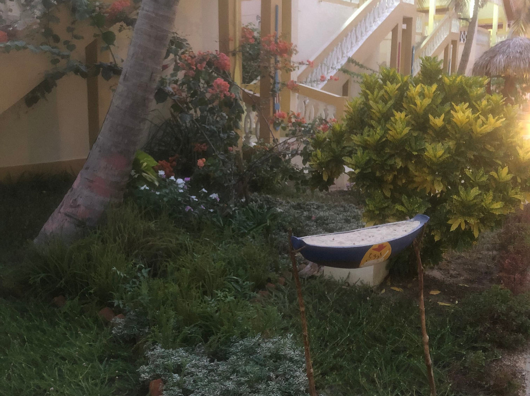 Laguna Beach主图