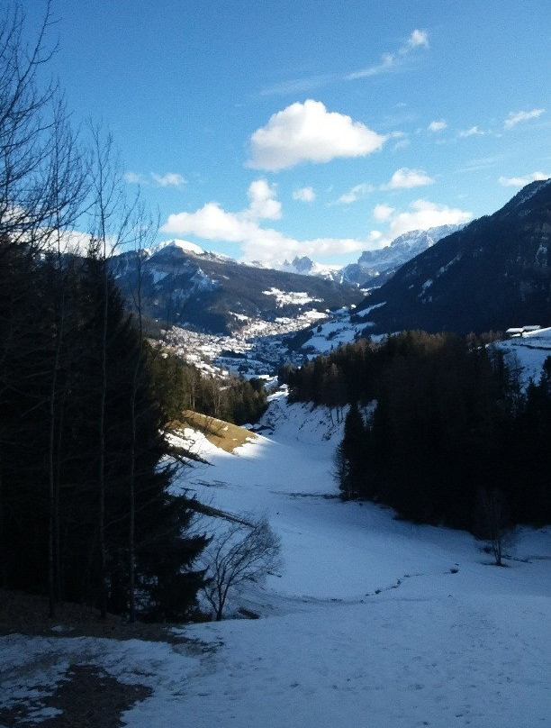 Alpe di Siusi景点图片