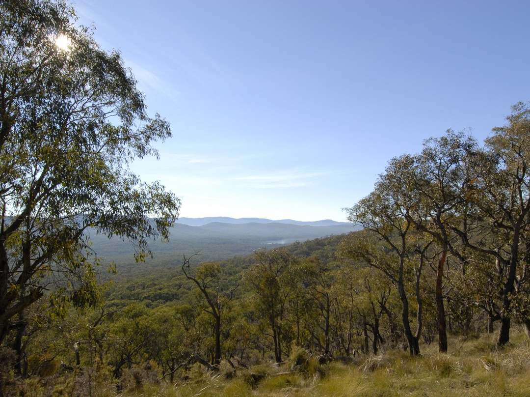 Bunyip State Park-Gembrook必去景点