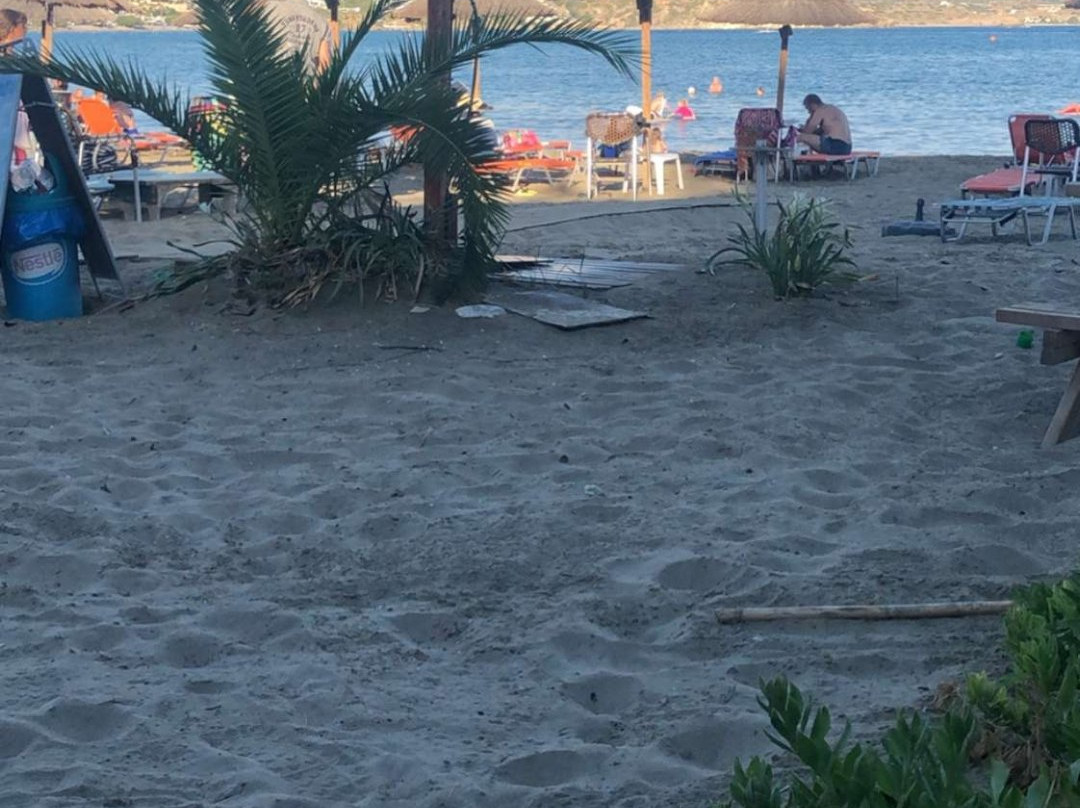 Melydron Cafe Beach Bar