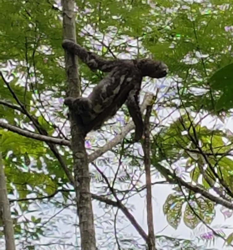 Kawsay Amazon Jungle Tours & Adventures-Indiana必去景点