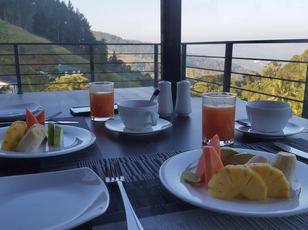 Pine Hill Residence主图