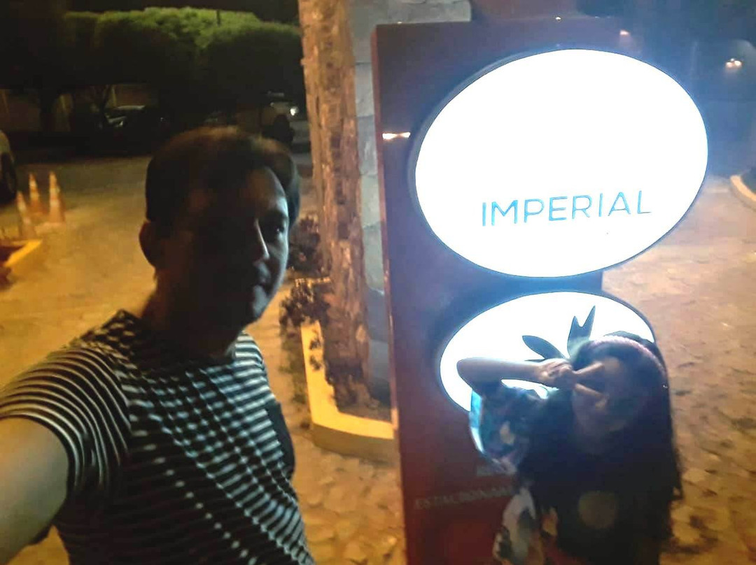 Imperial Palace Hotel主图