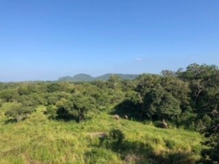 Journey Island Safari & Tours-哈巴拉娜必去景点