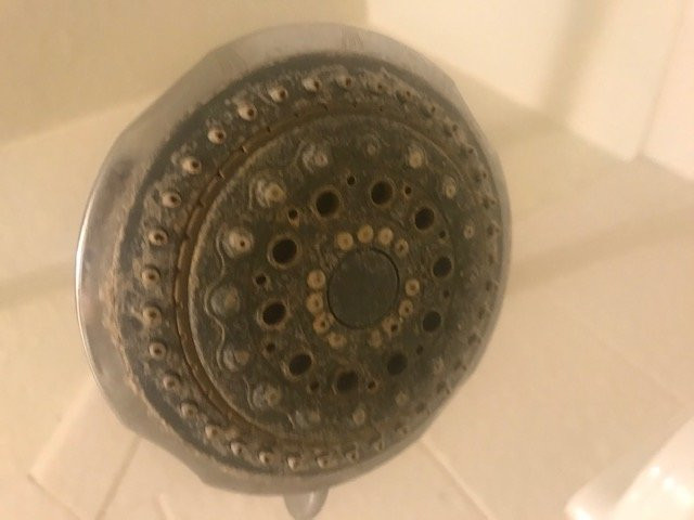 Travelodge Inn & Suites by Wyndham Yucca Valley/Joshua Tree