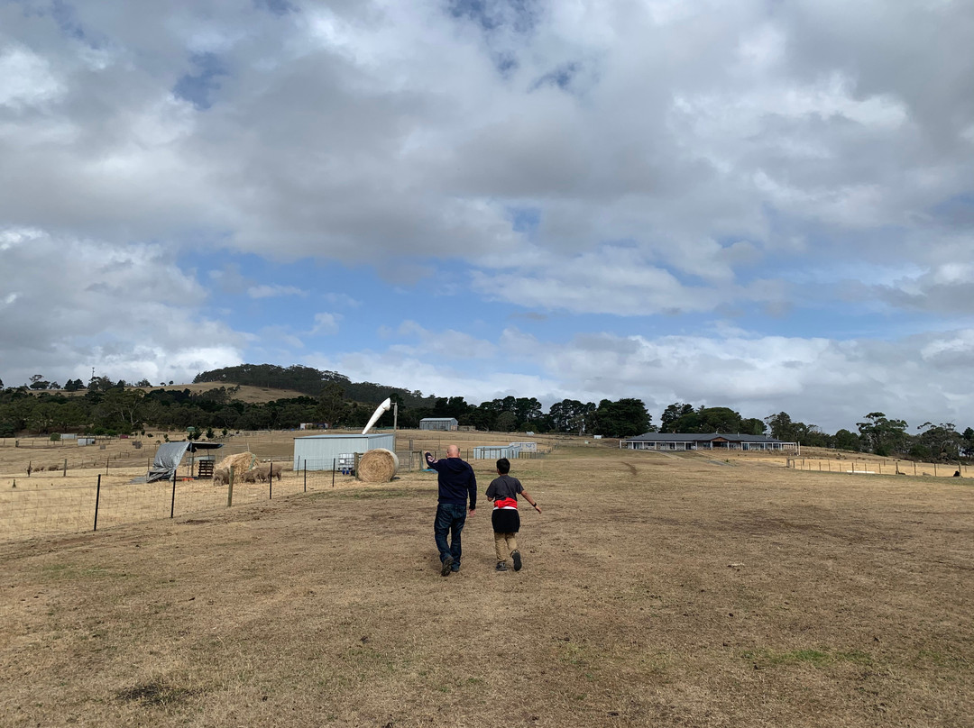 Rooks Edge Bed & Breakfast主图