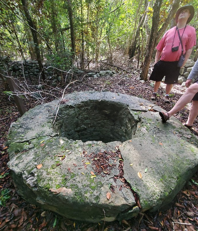 Wade's Green Plantation-North Caicos必去景点