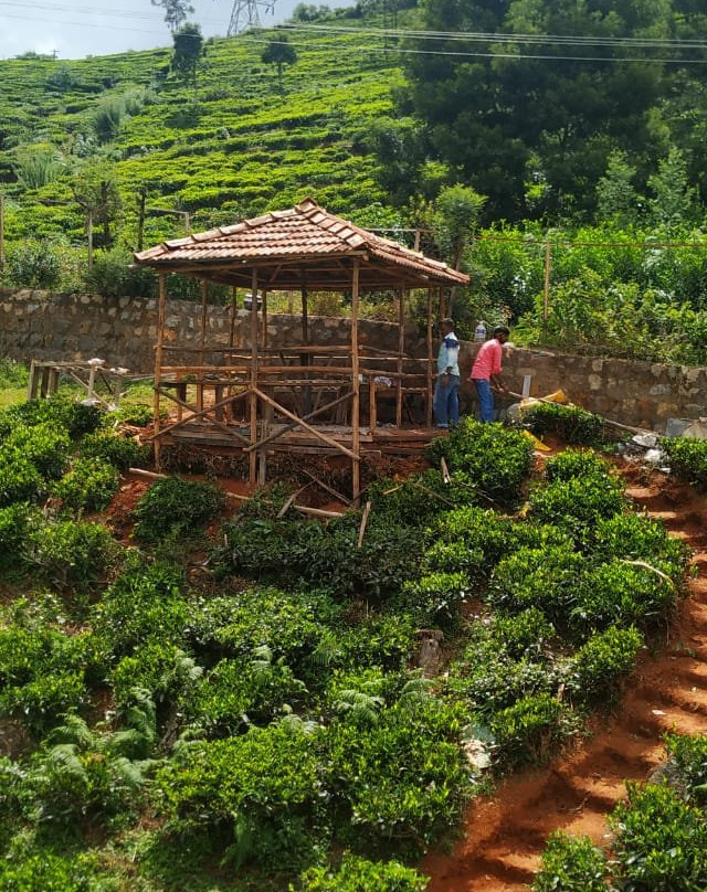 Oak n Tea's Villa主图