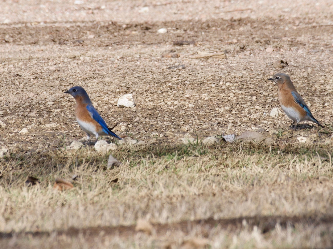 James Kiehl River Bend Park-Comfort必去景点