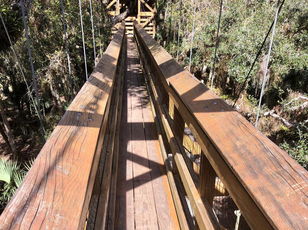 Myakka Canopy Walkway景点图片