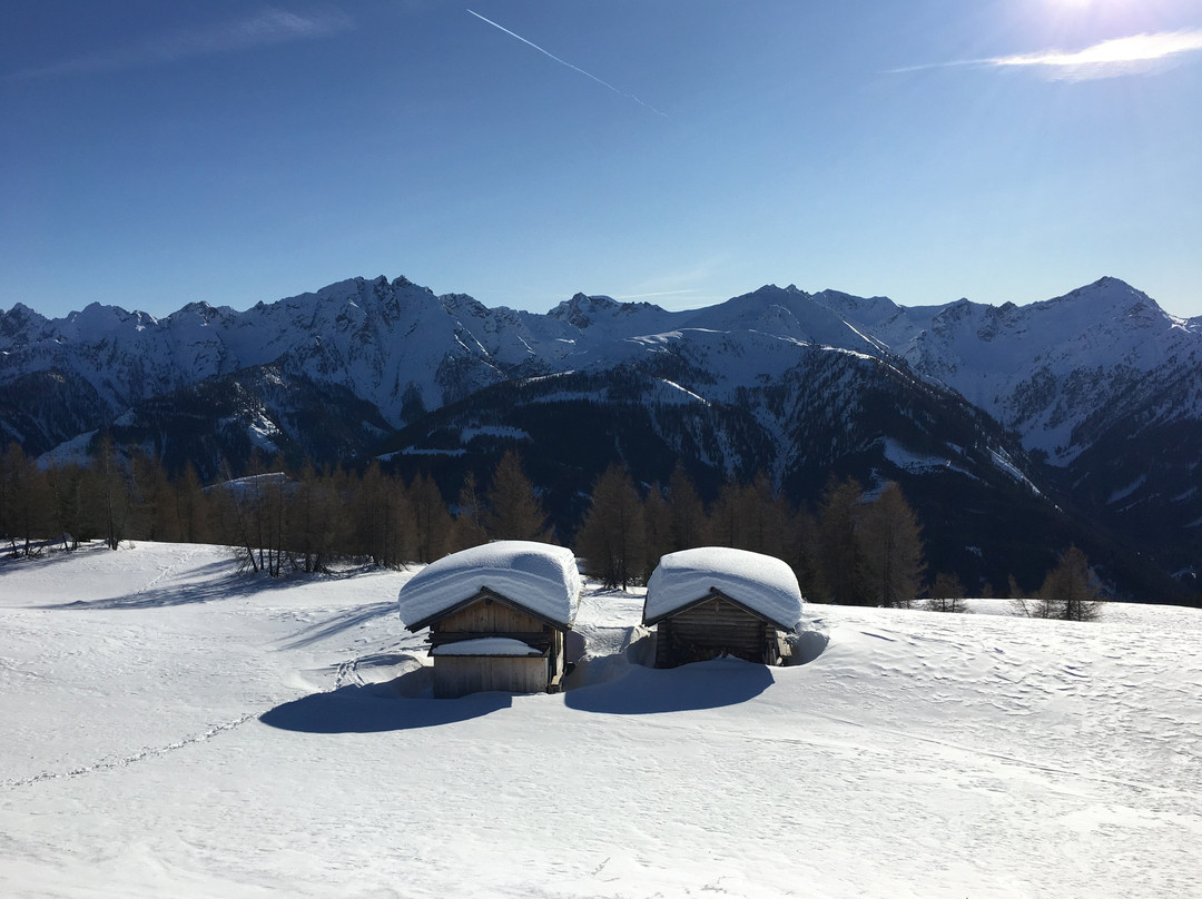 Peintnerhof - Heilsame Landschaft主图