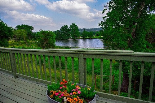 Roddy Tree Ranch主图