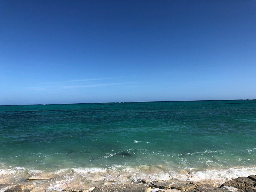 Casuarina Pine Villas主图