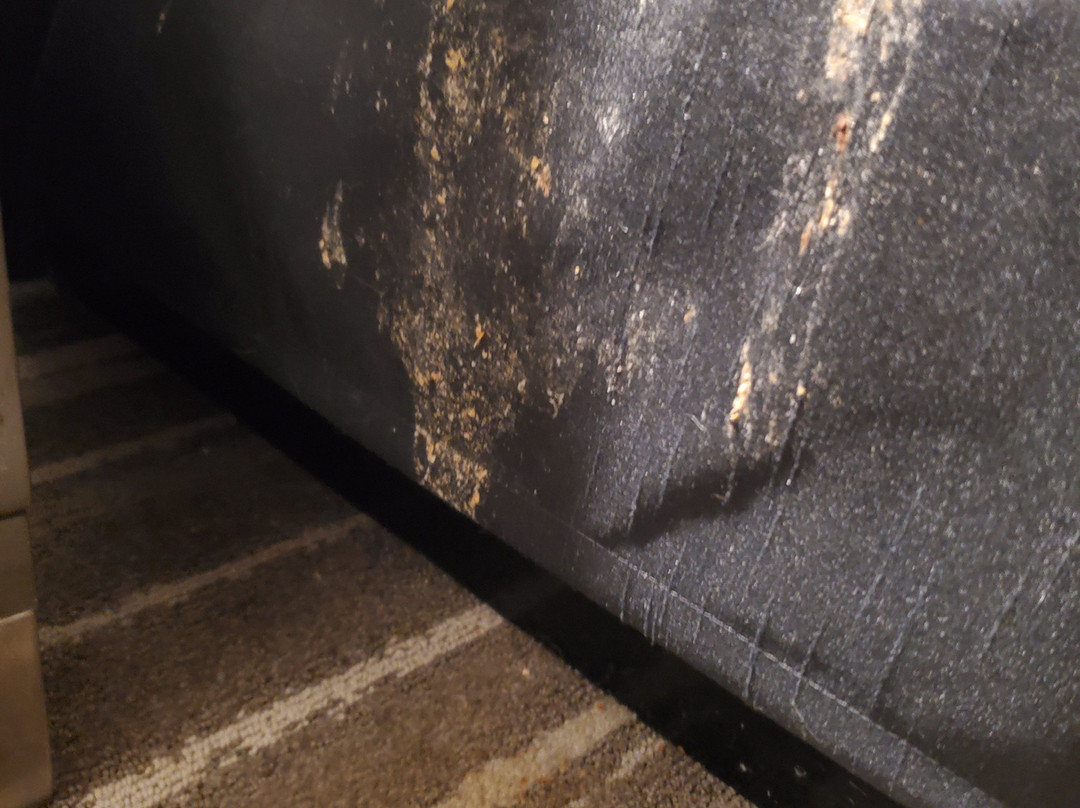 La Quinta Inn & Suites by Wyndham McDonough主图