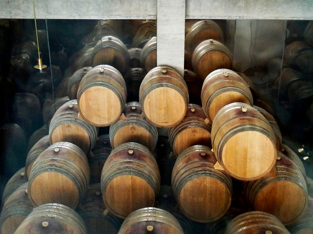 Vlassides Winery-Koilani必去景点