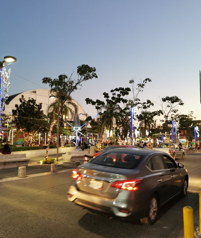 Alameda de Cuautla景点图片