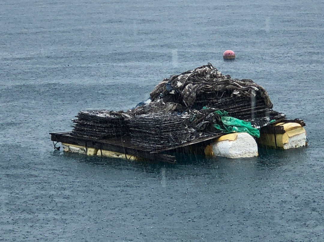 Autore Pearl Farm Tours and Showroom-Pemenang必去景点