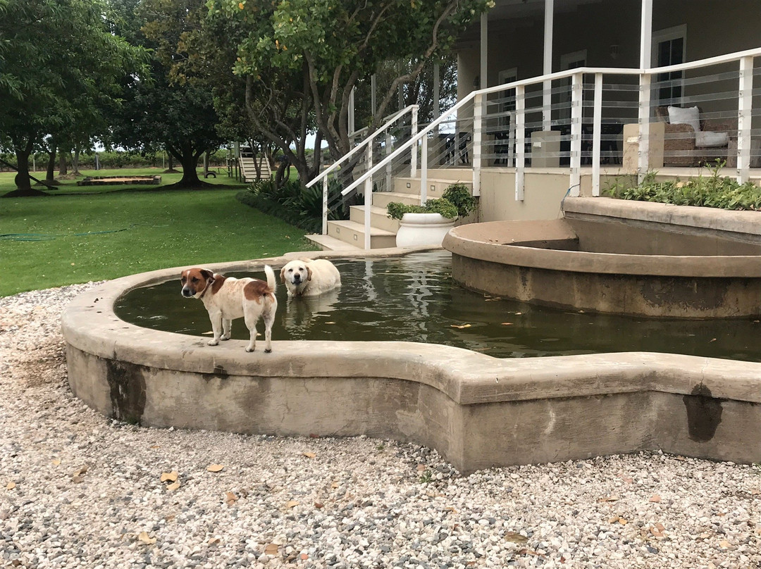 Arabella Wines-Ashton必去景点