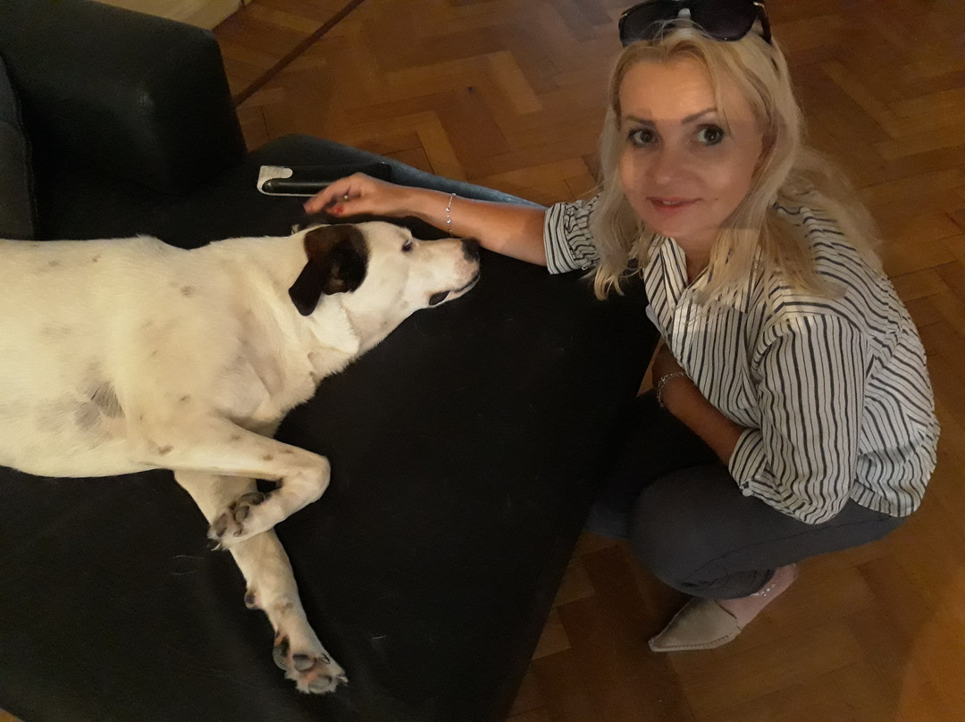 Tanino Guest House主图