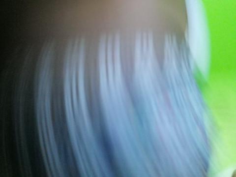 Bukit Pasir旅游攻略图片