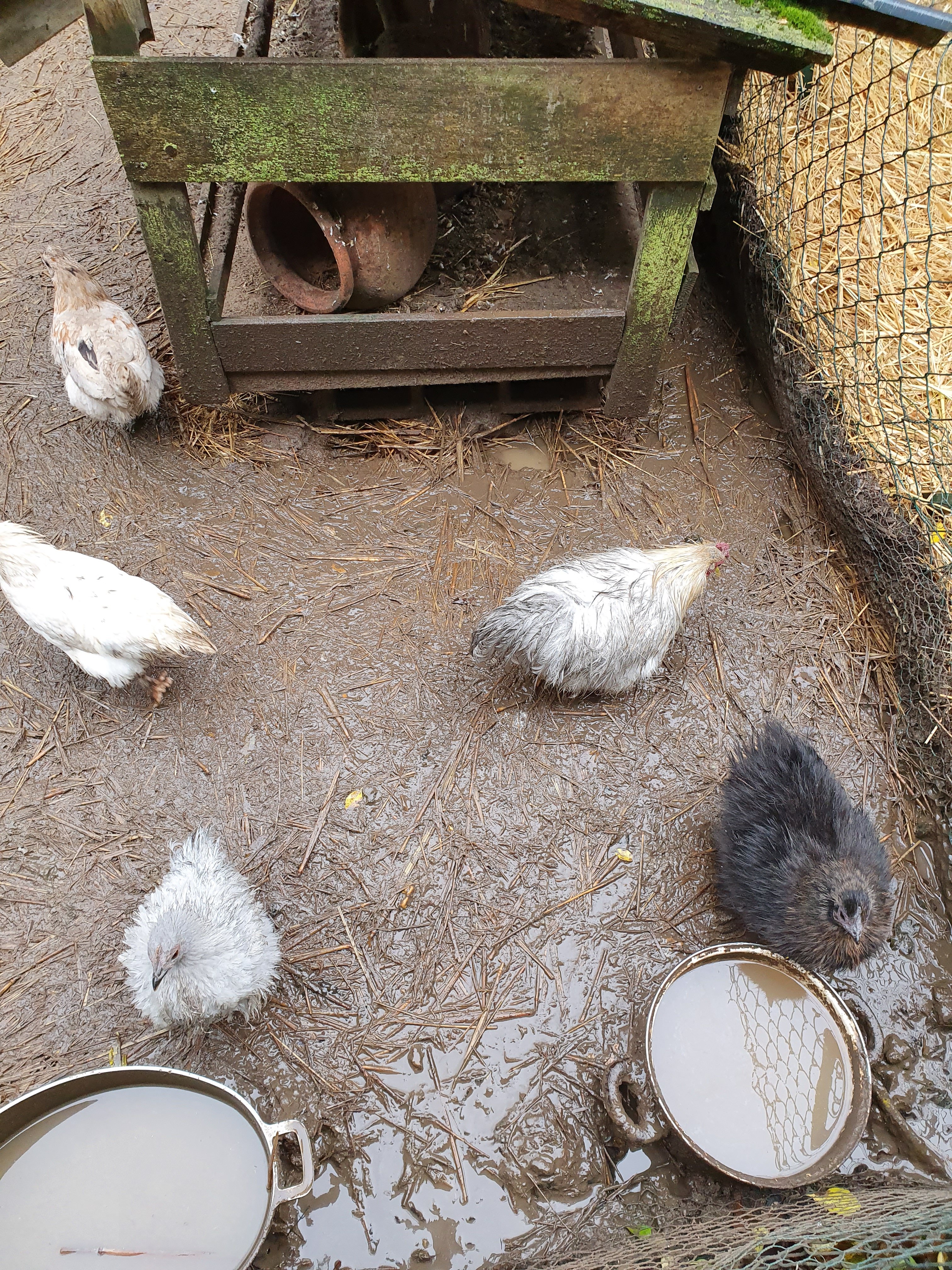 La Ferme des Logis-portrait