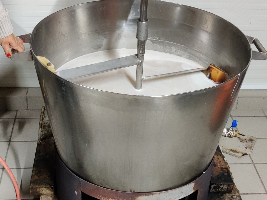 Larnaka Tourism Board - Thematic Tours & Routes-拉纳加必去景点