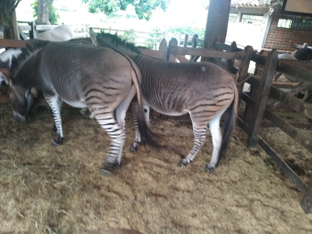 Parques Panaca-Quimbaya必去景点
