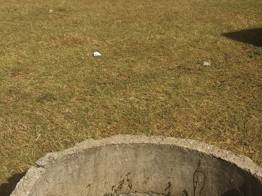 Hotel Mayura Valley View Madikeri主图