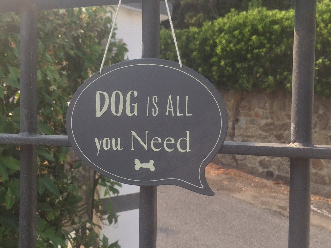 Joy bed and breakfast主图