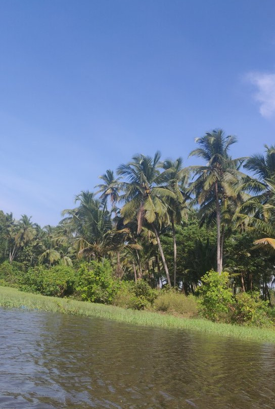 Goa Kayaking景点图片