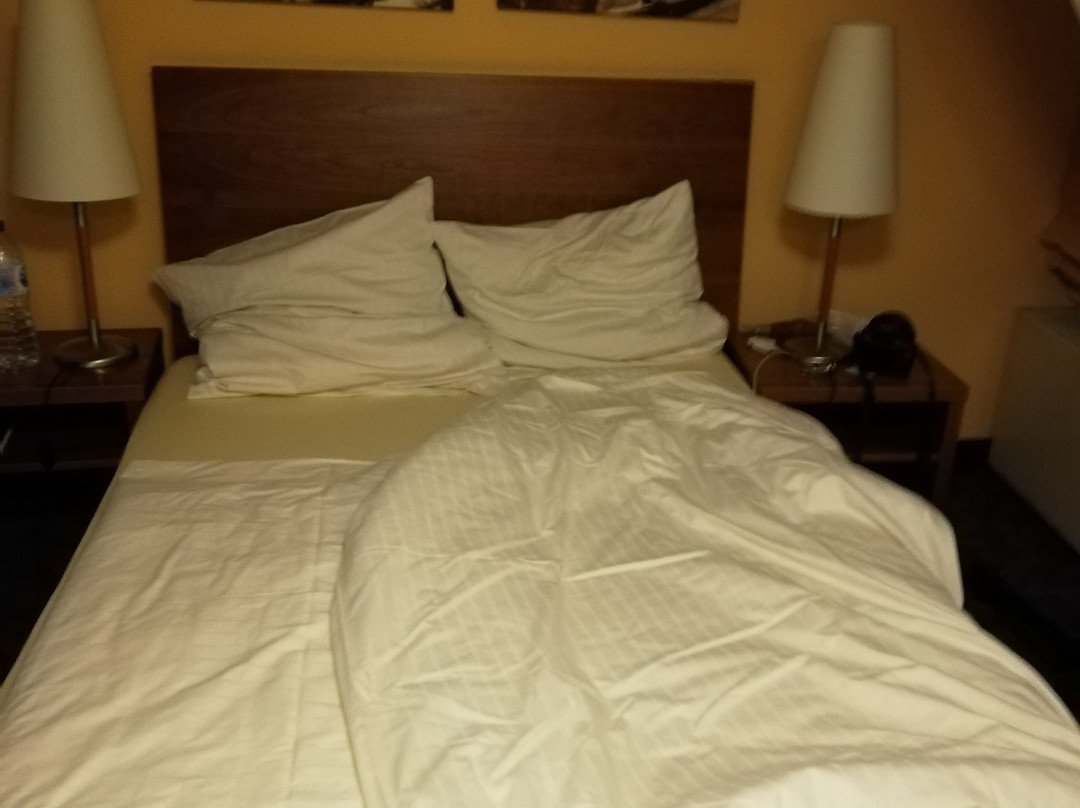 Hotel Pilgrimhaus主图