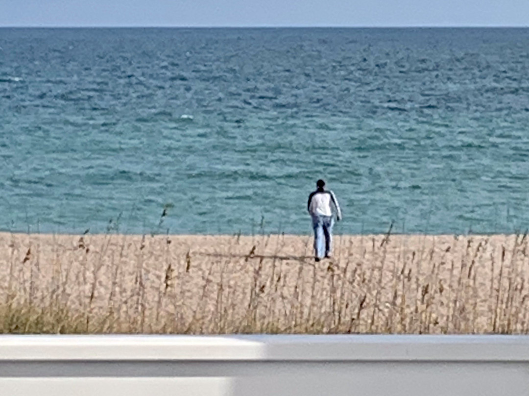 Elizabeth Pointe Lodge主图