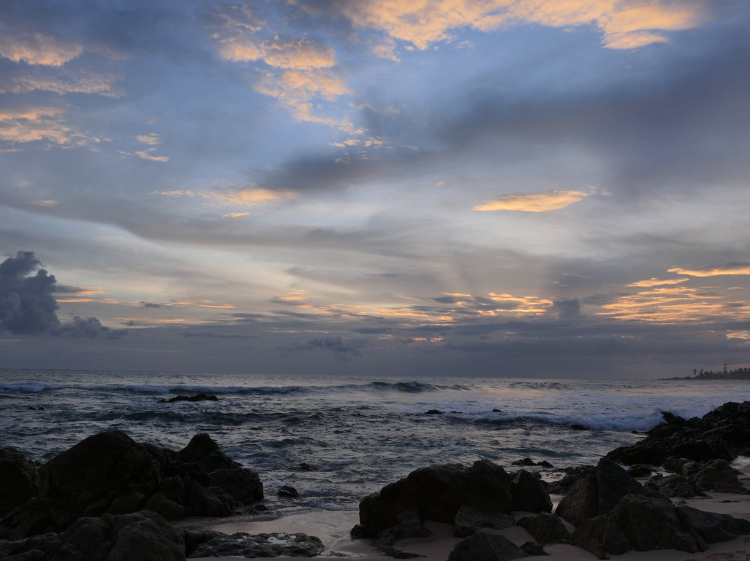 L S L Adventure Travels & Tours-Marawila必去景点