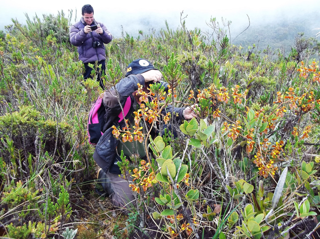 Forest of Orchids-Tenjo必去景点