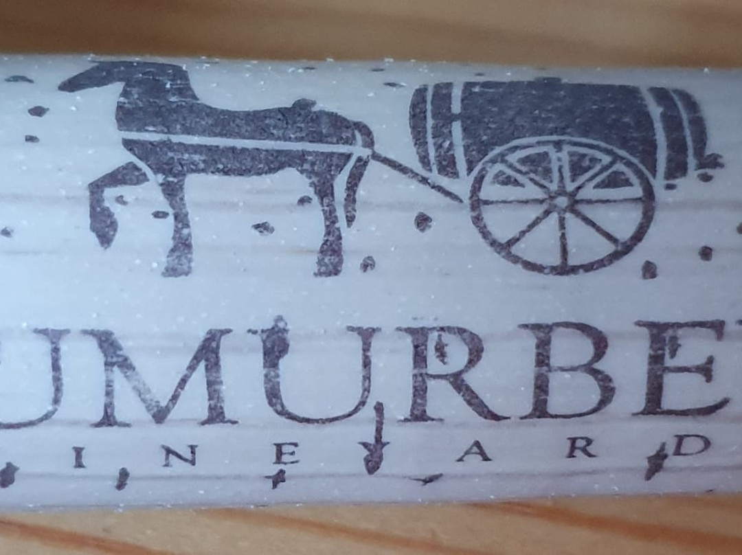 Umurbey Sarapcilik-泰基尔达必去景点