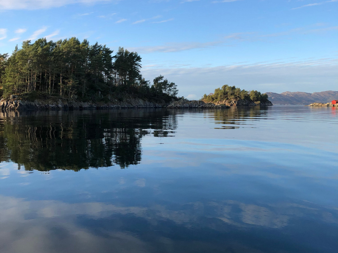 Bergen Searib AS-卑尔根必去景点