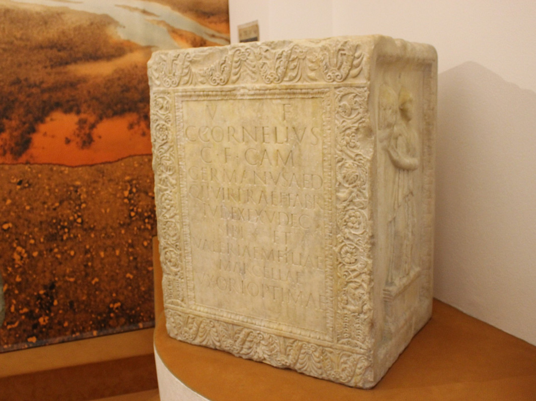 Museo Civico archeologico e di Scienze Naturali F. Eusebio-阿尔巴必去景点